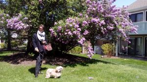 20170505_121803.jpg